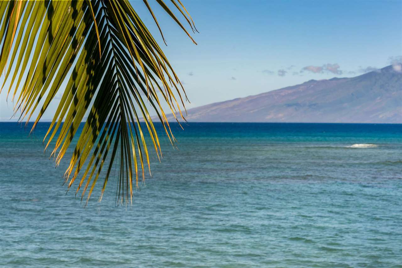 Lower Honoapiilani Road, Unit 210 Lahaina, HI 96761 - Photo 16 of 29 a view of outdoor space and yard