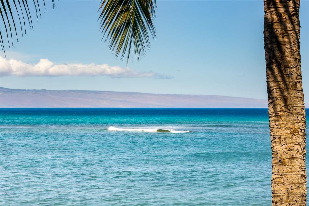 Lower Honoapiilani Road, Unit 210 Lahaina, HI 96761 - Photo 27 of 29