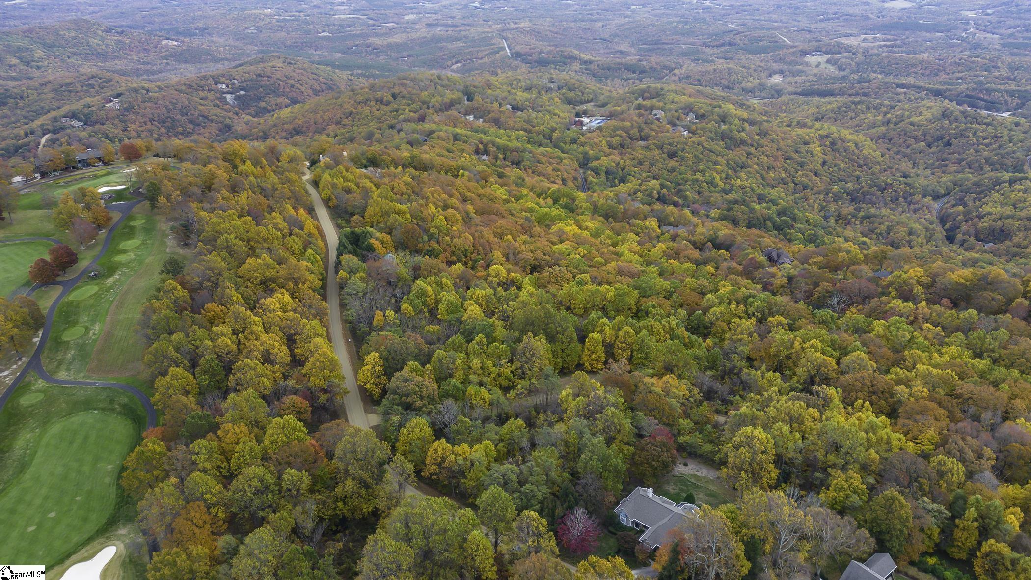 0 May Apple Way Landrum, SC 29356 - Photo 12 of 13