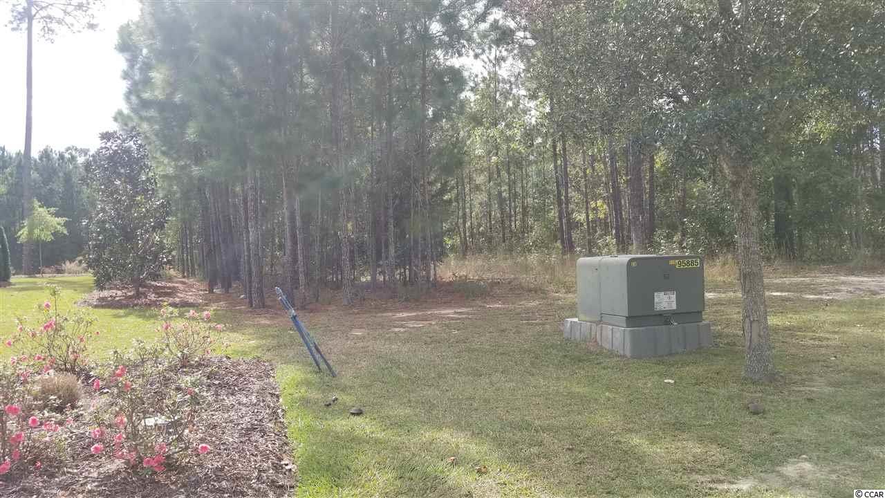 96 Cascade Drive Murrells Inlet, SC 29576 - Photo 11 of 26 Gallery Image 11