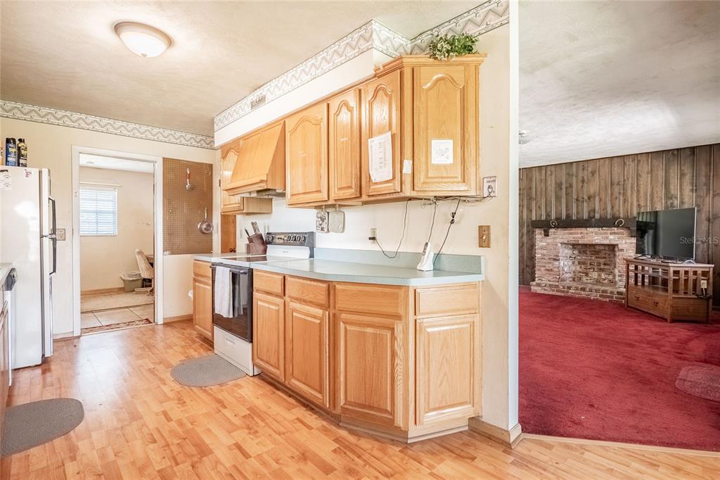 18818 Dorman Road Lithia, FL 33547 - Photo 29 of 50 Gallery Image 29