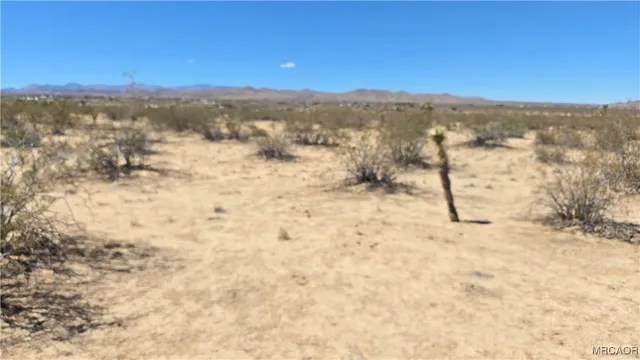 $29,900 | 41-02 Pine (jackrabbit) Lane, Landers, CA 92285