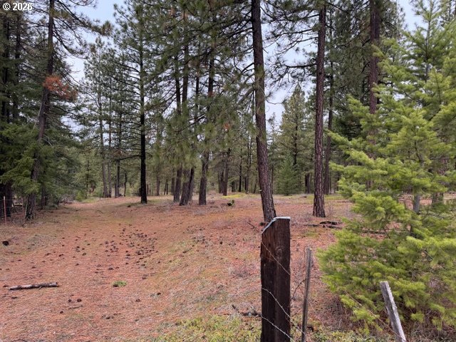 Garrison Road, Unit 1 2 3 Goldendale, WA 98620 - Photo 16 of 32 a view of a backyard with large trees