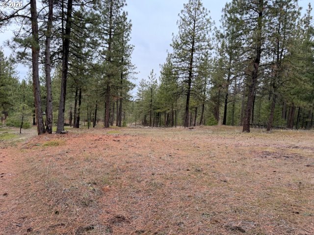 Garrison Road, Unit 1 2 3 Goldendale, WA 98620 - Photo 18 of 32 a view of outdoor space with trees