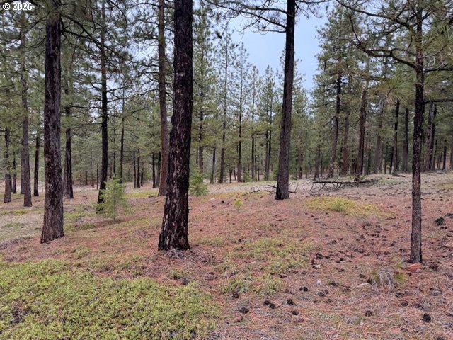Garrison Road, Unit 1 2 3 Goldendale, WA 98620 - Photo 20 of 32 a view of outdoor space with trees