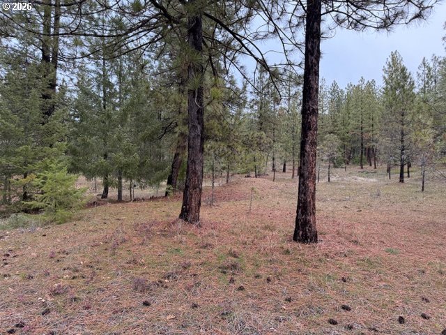 Garrison Road, Unit 1 2 3 Goldendale, WA 98620 - Photo 25 of 32 a view of a forest with trees