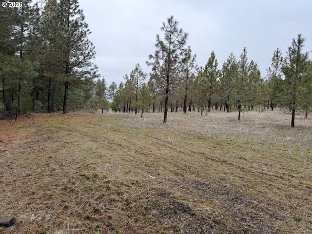 Garrison Road, Unit 1 2 3 Goldendale, WA 98620 - Photo 26 of 32 a view of dirt yard with trees
