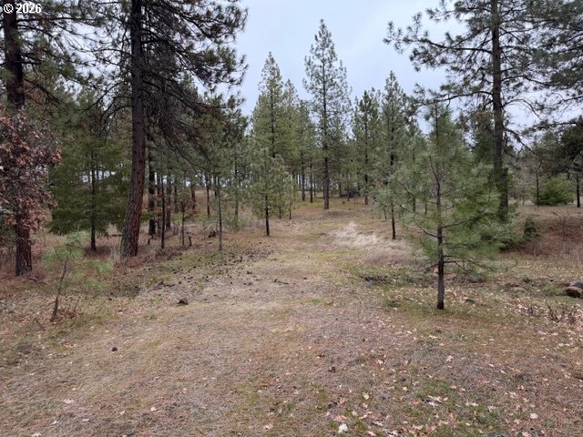 Garrison Road, Unit 1 2 3 Goldendale, WA 98620 - Photo 28 of 32 a view of a forest with trees in the background
