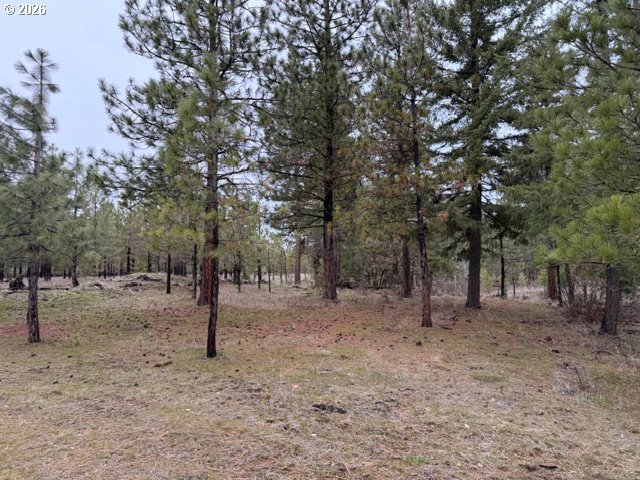 Garrison Road, Unit 1 2 3 Goldendale, WA 98620 - Photo 29 of 32 a view of a yard with a tree