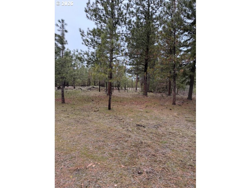 Garrison Road, Unit 1 2 3 Goldendale, WA 98620 - Photo 30 of 32 a view of a yard with trees
