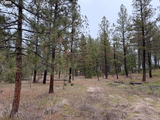 Garrison Road, Unit 1 2 3 Goldendale, WA 98620 - Photo 31 of 32 a view of outdoor space with trees
