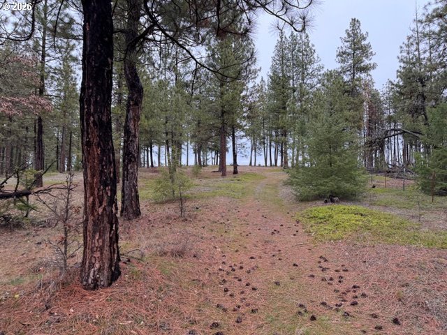 Garrison Road, Unit 1 2 3 Goldendale, WA 98620 - Photo 32 of 32 a view of outdoor space with trees