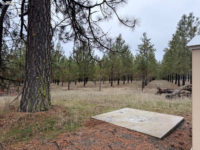 Garrison Road, Unit 1 2 3 Goldendale, WA 98620 - Photo 10 of 32 a view of a backyard