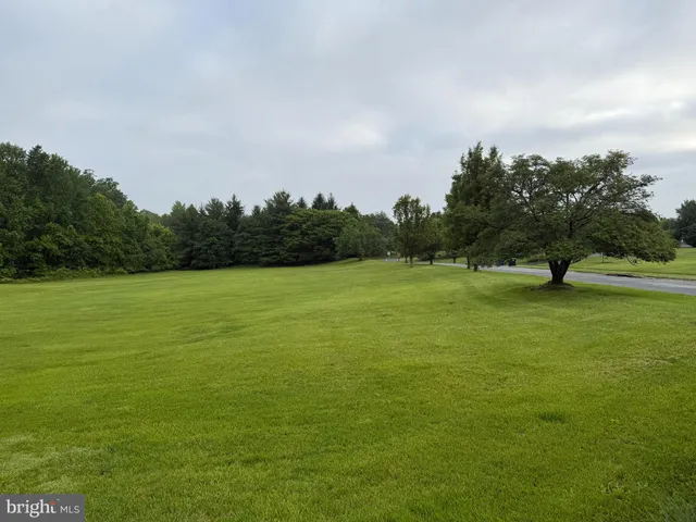 a view of a field with trees in the background