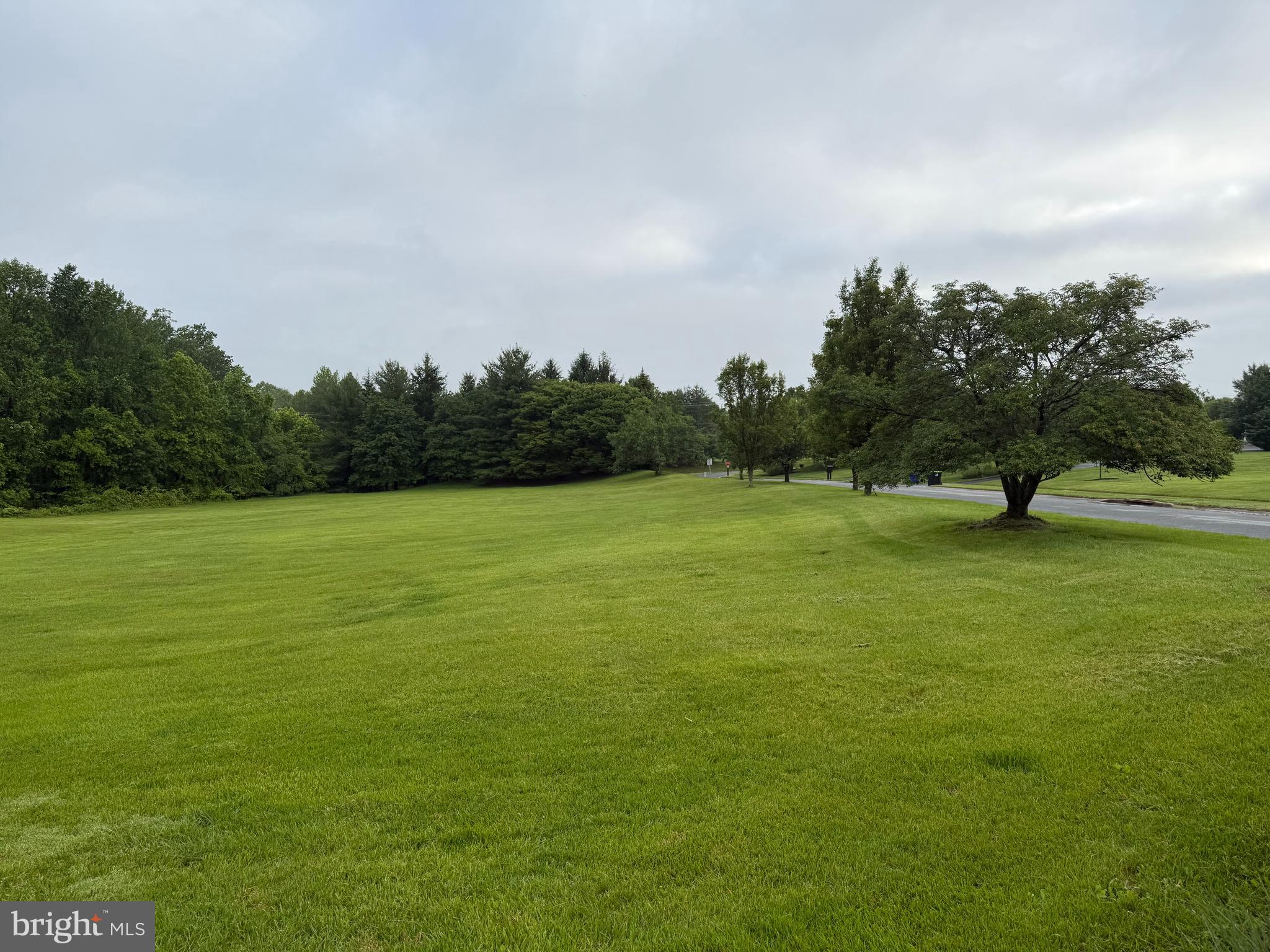 198 Longview Drive Elkton, MD 21921 - Photo 2 of 4 a view of a field with trees in the background