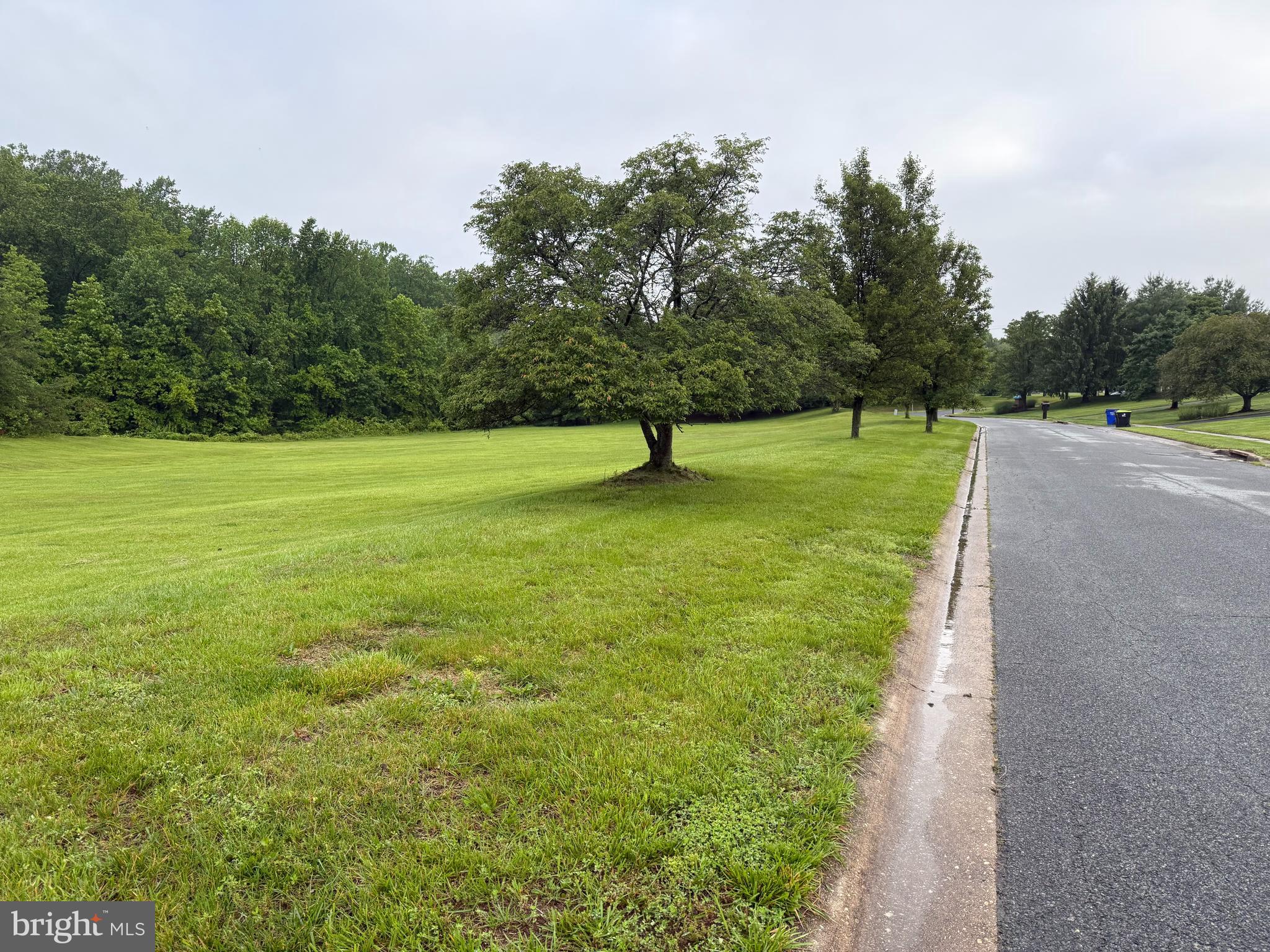 198 Longview Drive Elkton, MD 21921 - Photo 3 of 4 a lake view with a big yard
