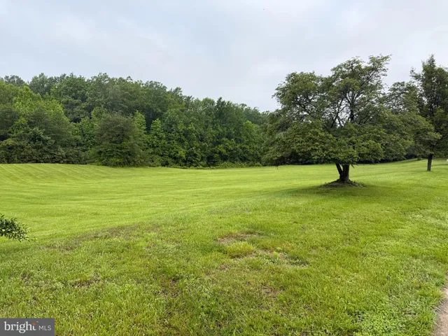 a view of outdoor space with garden and trees