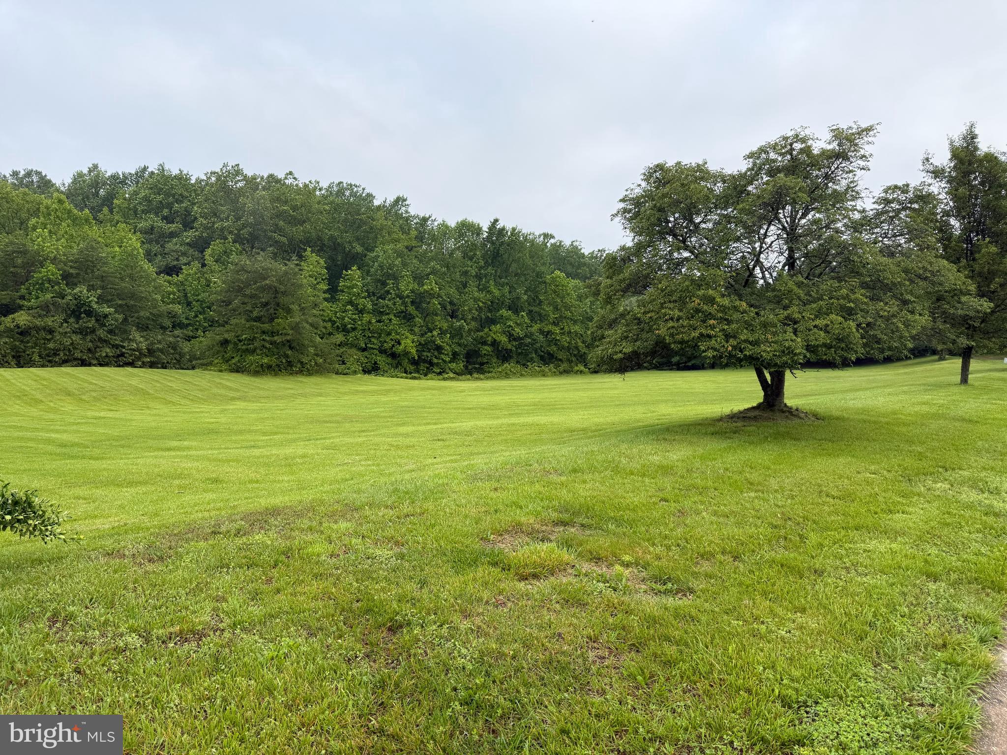 198 Longview Drive Elkton, MD 21921 - Photo 4 of 4 a view of outdoor space with garden and trees