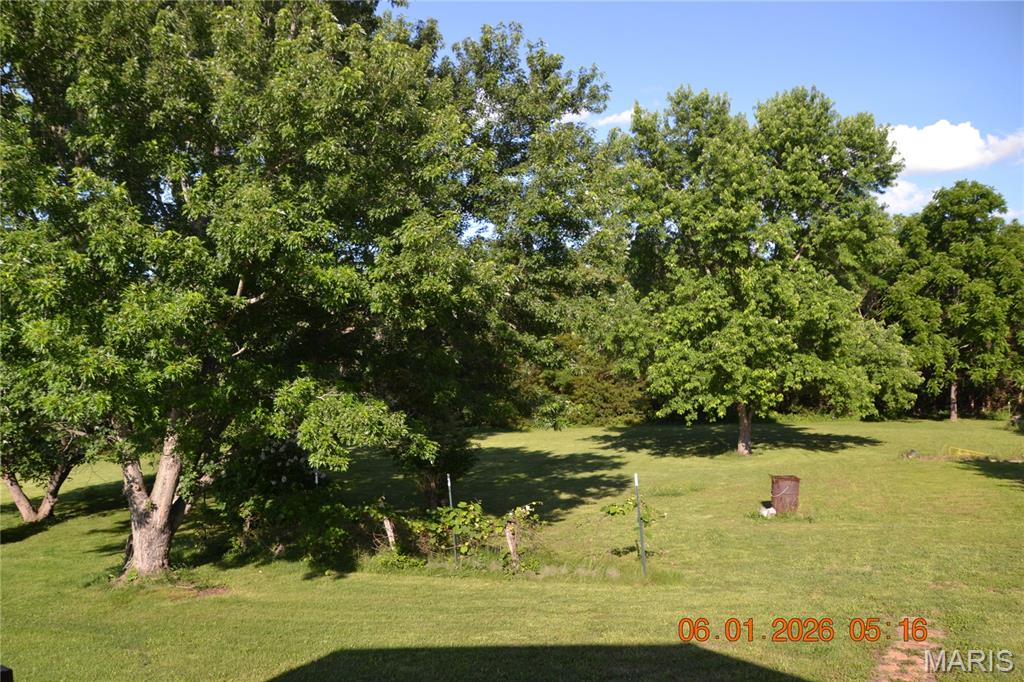 4350 Silver Springs Road Bonne Terre, MO 63628 - Photo 13 of 41