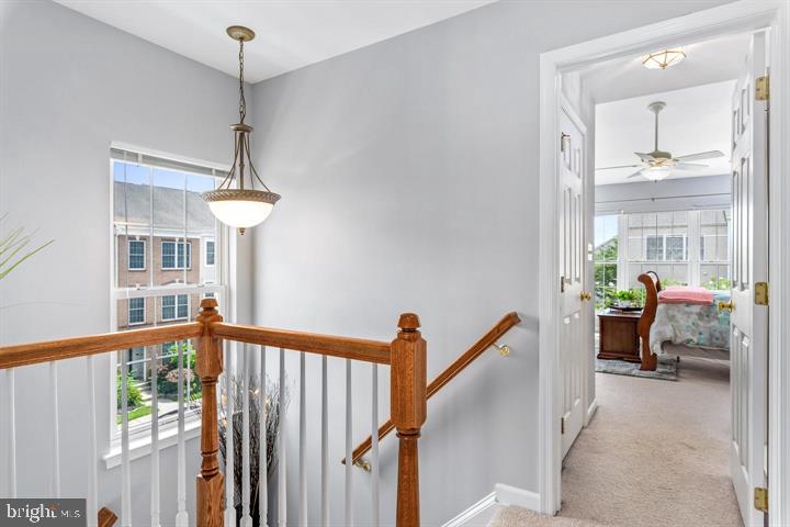 42609 Pine Forest Drive Chantilly, VA 20152 - Photo 22 of 34