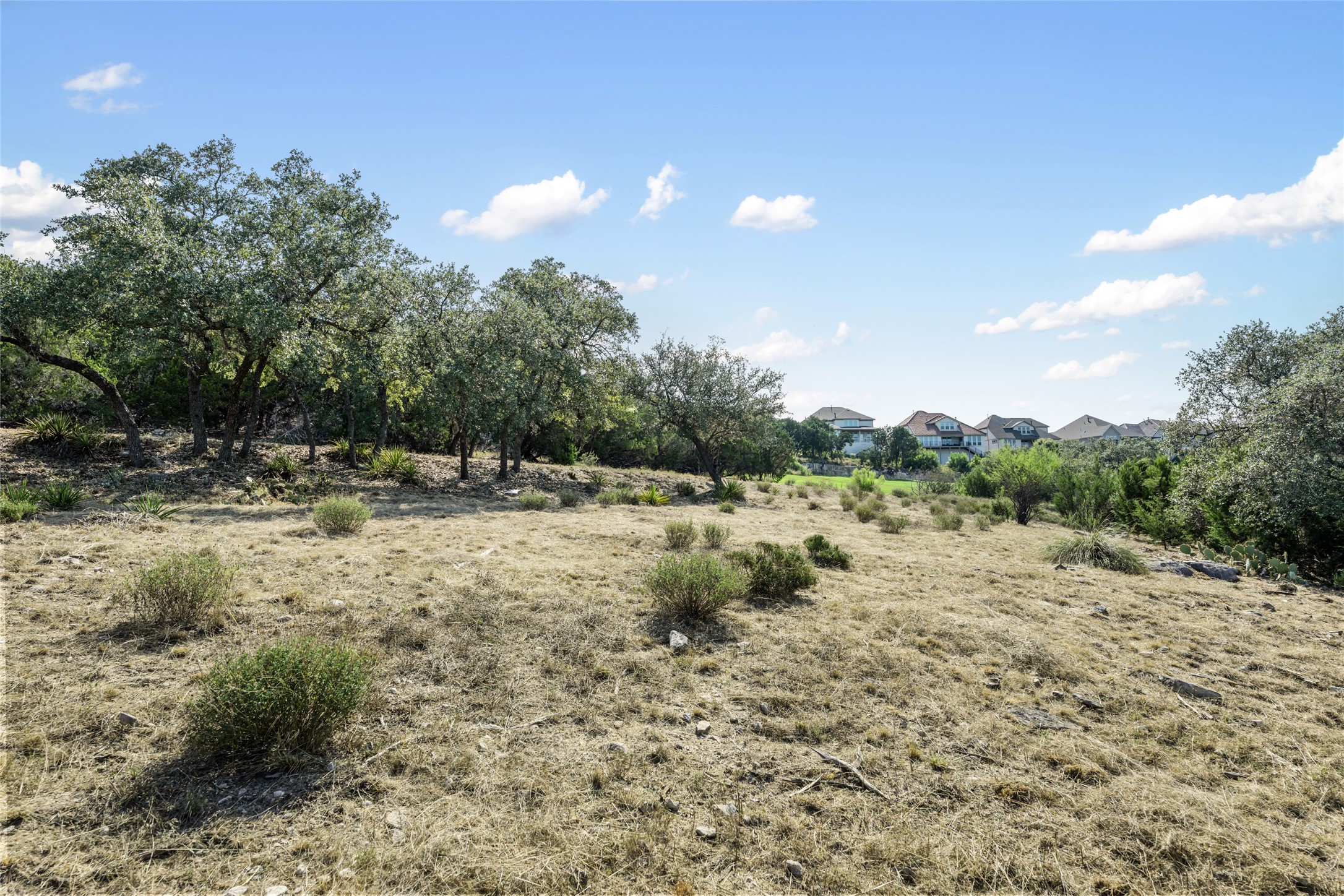 2808 Lakehurst Road Spicewood, TX 78669 - Photo 8 of 16