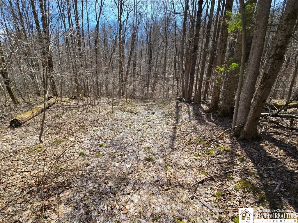 0 West Cobb Road Falconer, NY 14733 - Photo 35 of 49