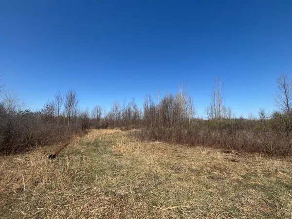 $70,000 | 10-a P3 North Magruder Road, Coleman, MI 48618