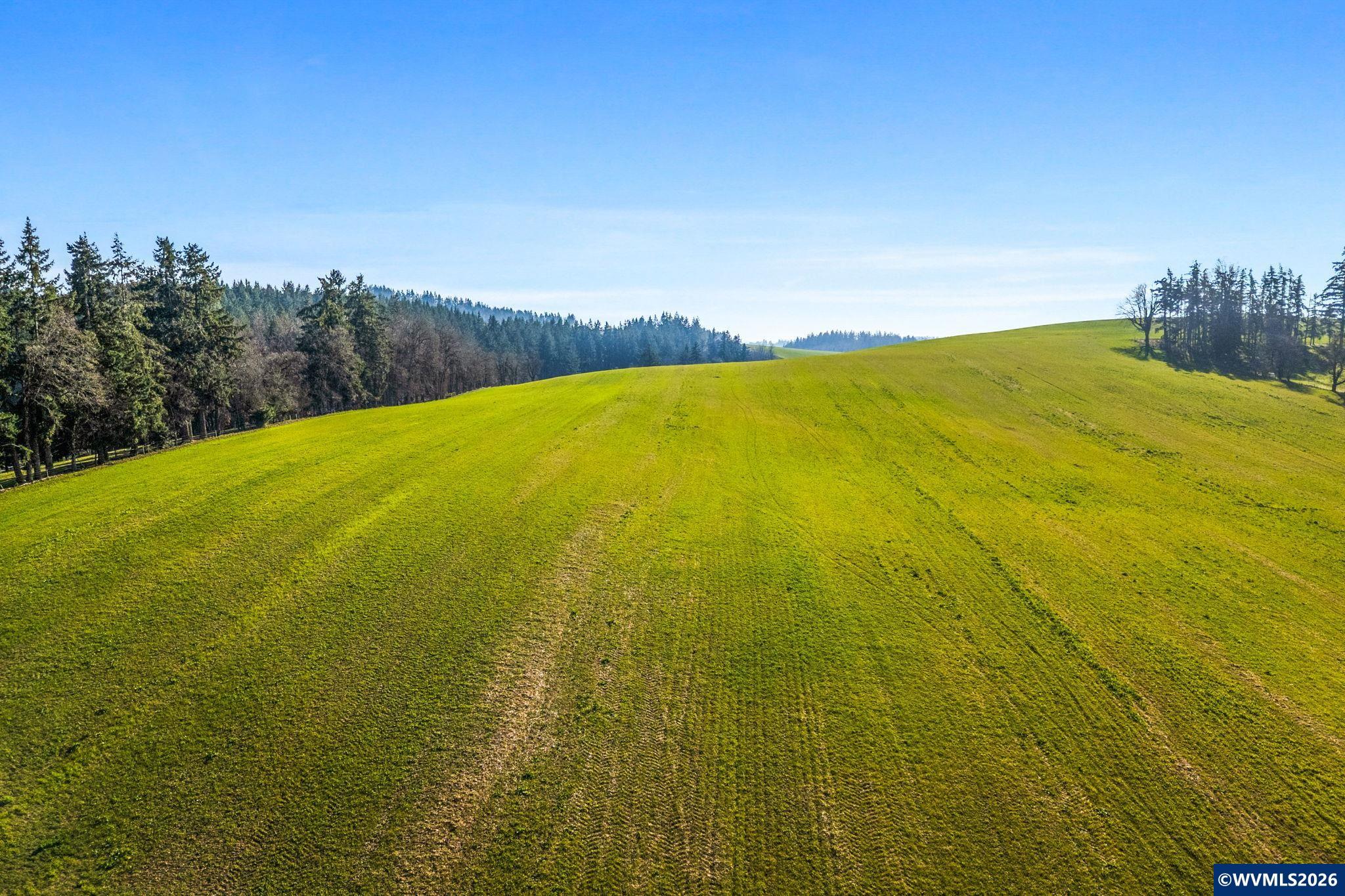 9900 South Wildcat Road Molalla, OR 97038 - Photo 15 of 20