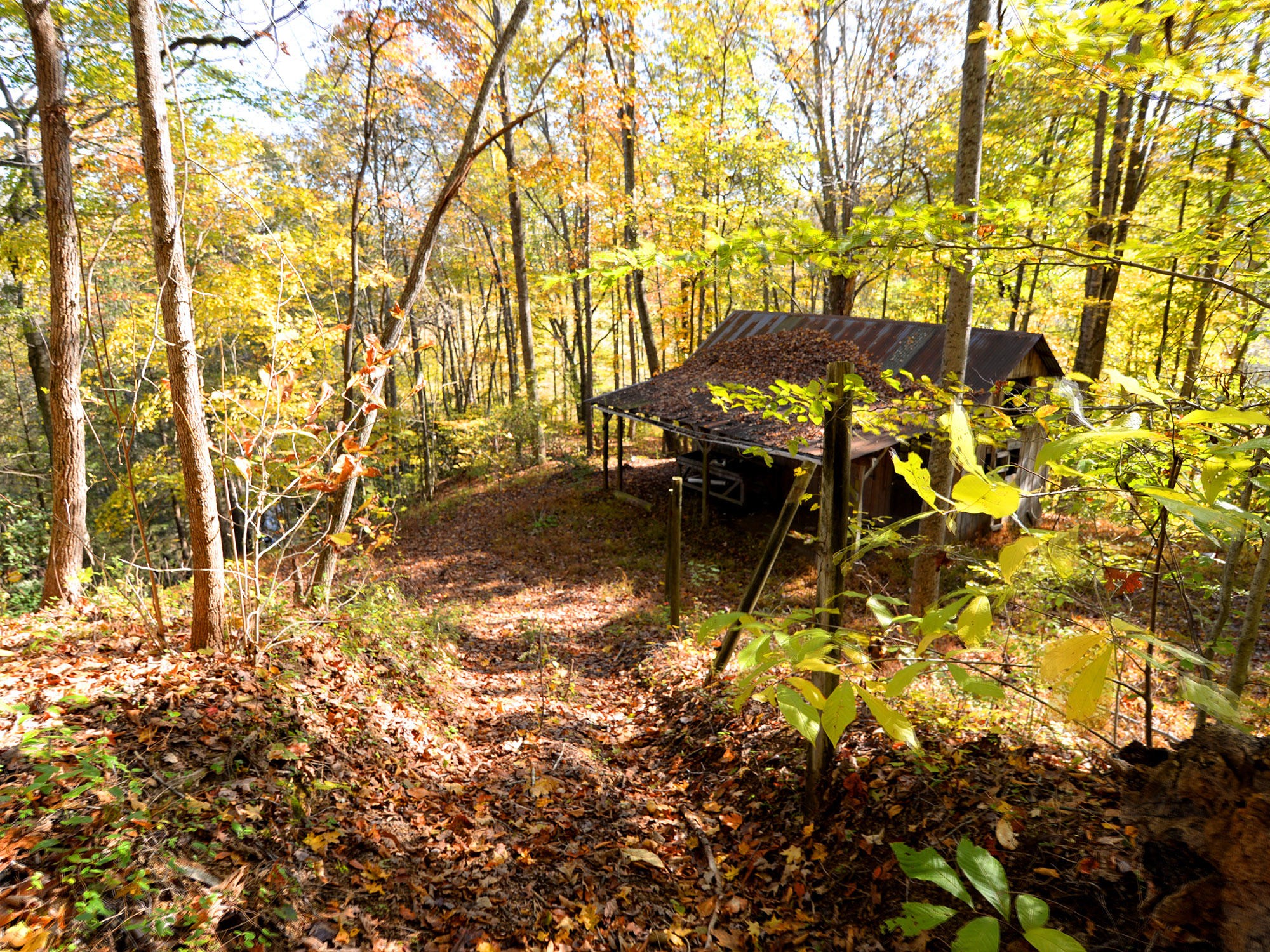 681 Johnson Road Oliver Springs, TN 37840 - Photo 24 of 25 Gallery Image 24