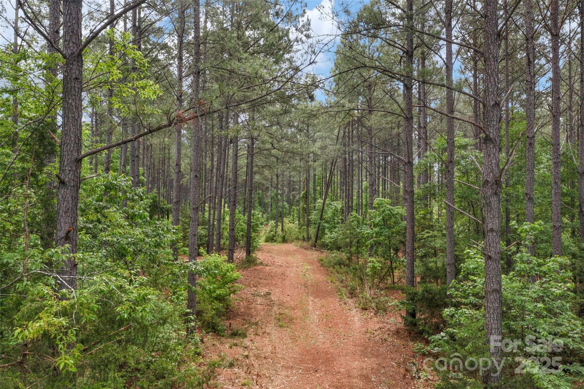 0 Fork Hill Road, Unit 1 Heath Springs, SC 29058 - Photo 8 of 46 Gallery Image 8