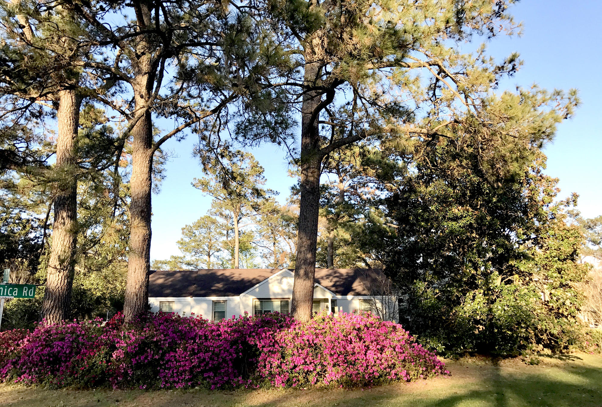 1045 Tall Pine Road Mount Pleasant, SC 29464 - Photo 27 of 28 Yard with Flowers in Bloom