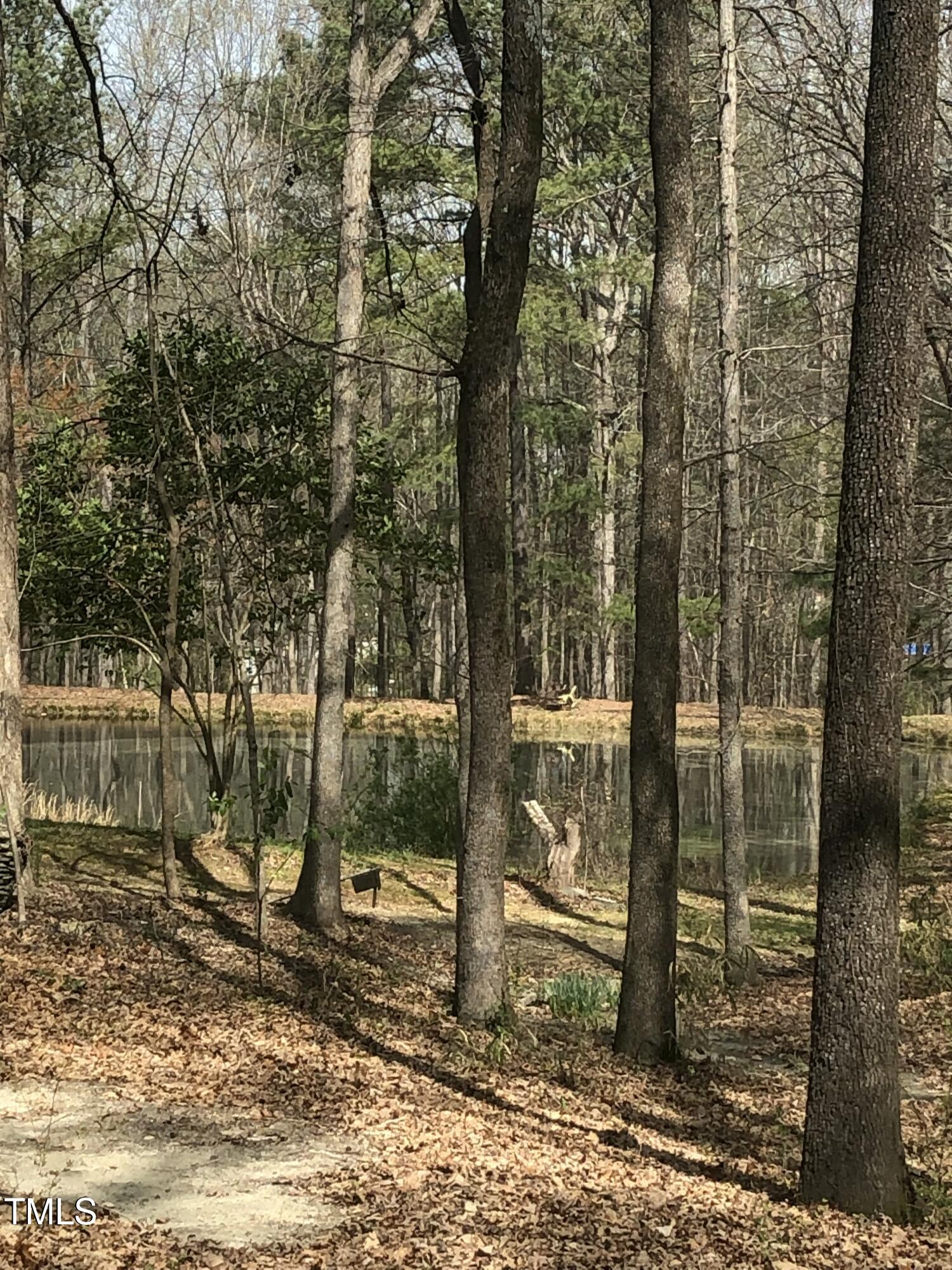 705 Oak Ridge Drive Cary, NC 27519 - Photo 25 of 31 a view of a forest filled with trees