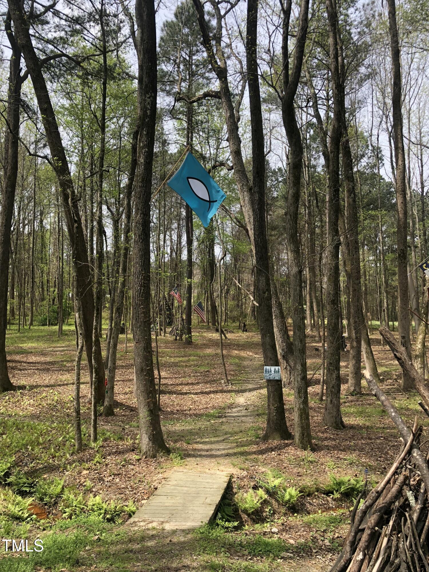 705 Oak Ridge Drive Cary, NC 27519 - Photo 26 of 31