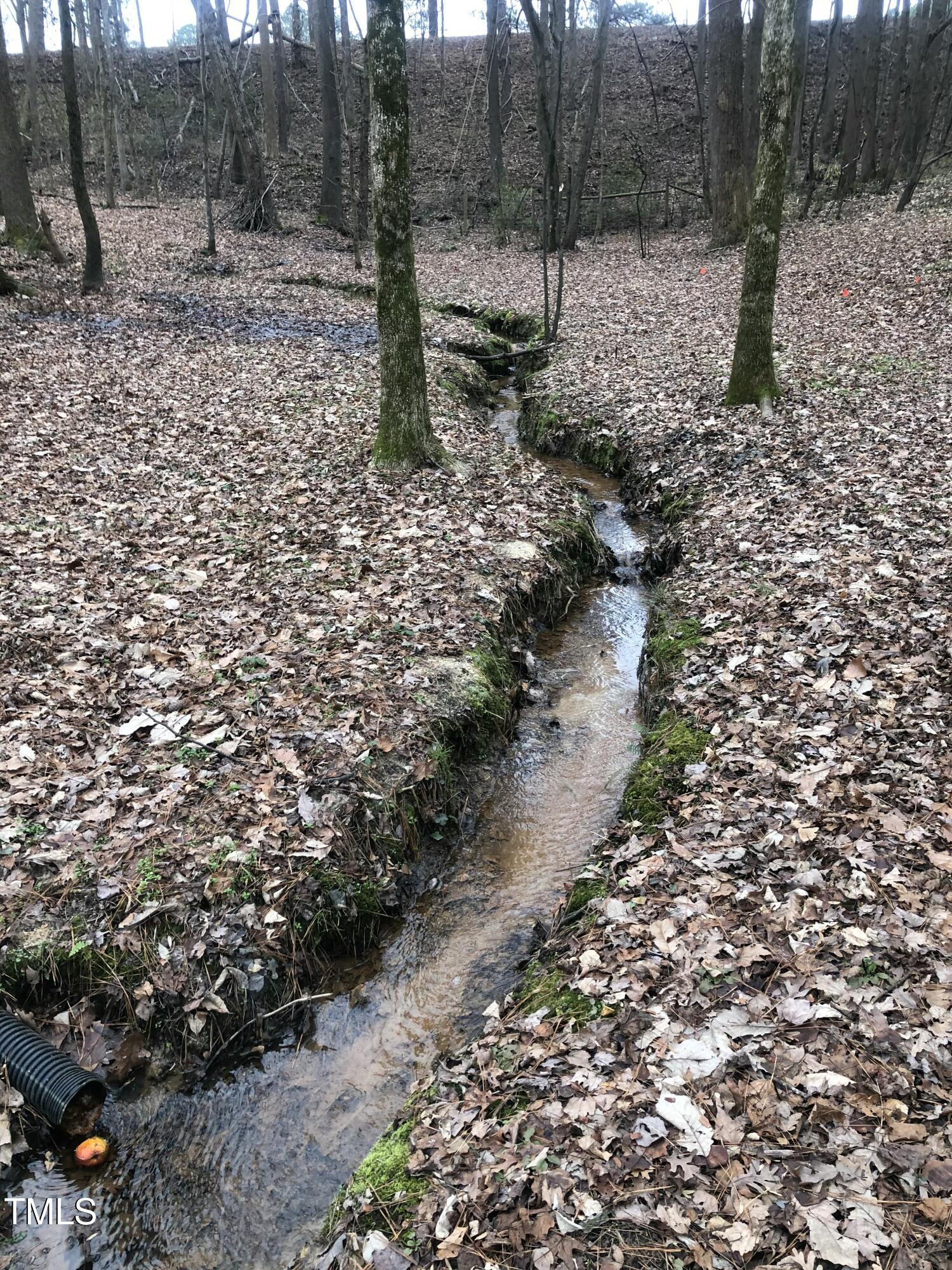 705 Oak Ridge Drive Cary, NC 27519 - Photo 30 of 31 a big yard with lots of green space