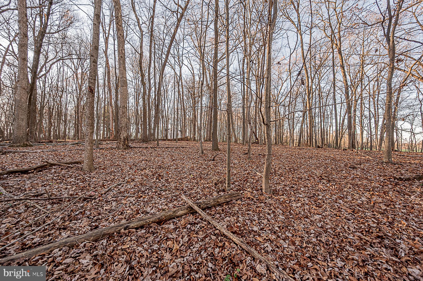 12008 Mettee Road Marriottsville, MD 21104 - Photo 34 of 36 a view of a backyard with large trees