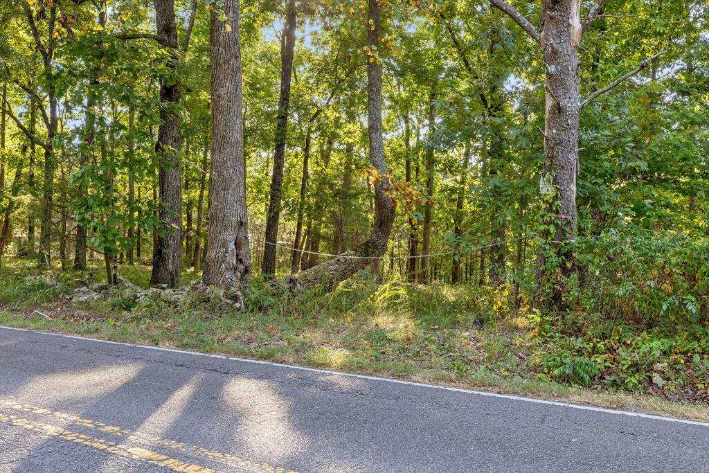 0 Yankee Road Trenton, GA 30752 - Photo 3 of 47 Gallery Image 3