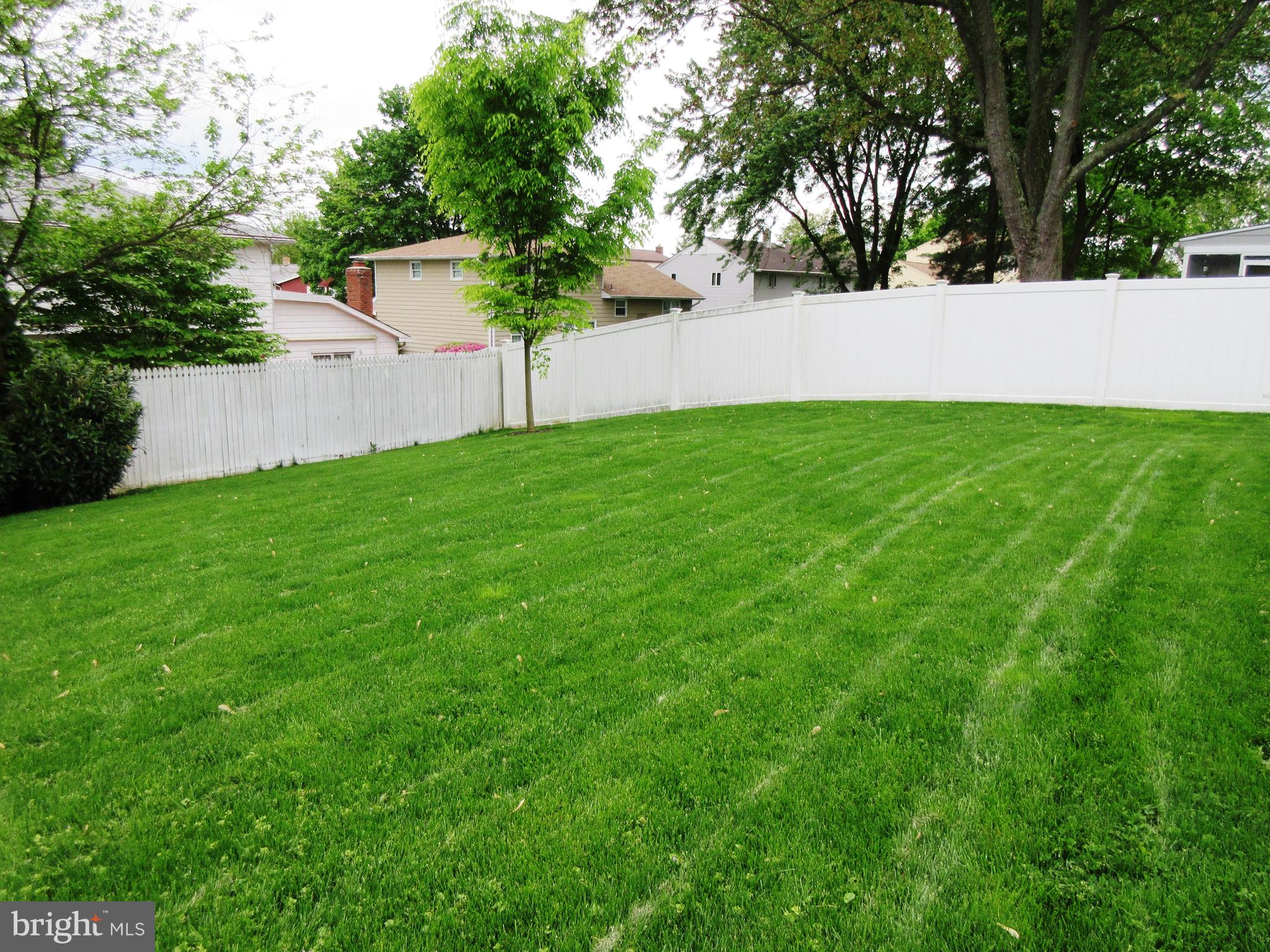 13 Cook Road Newark, DE 19711 - Photo 23 of 24 Partial Privacy Fence-Natural Hedges