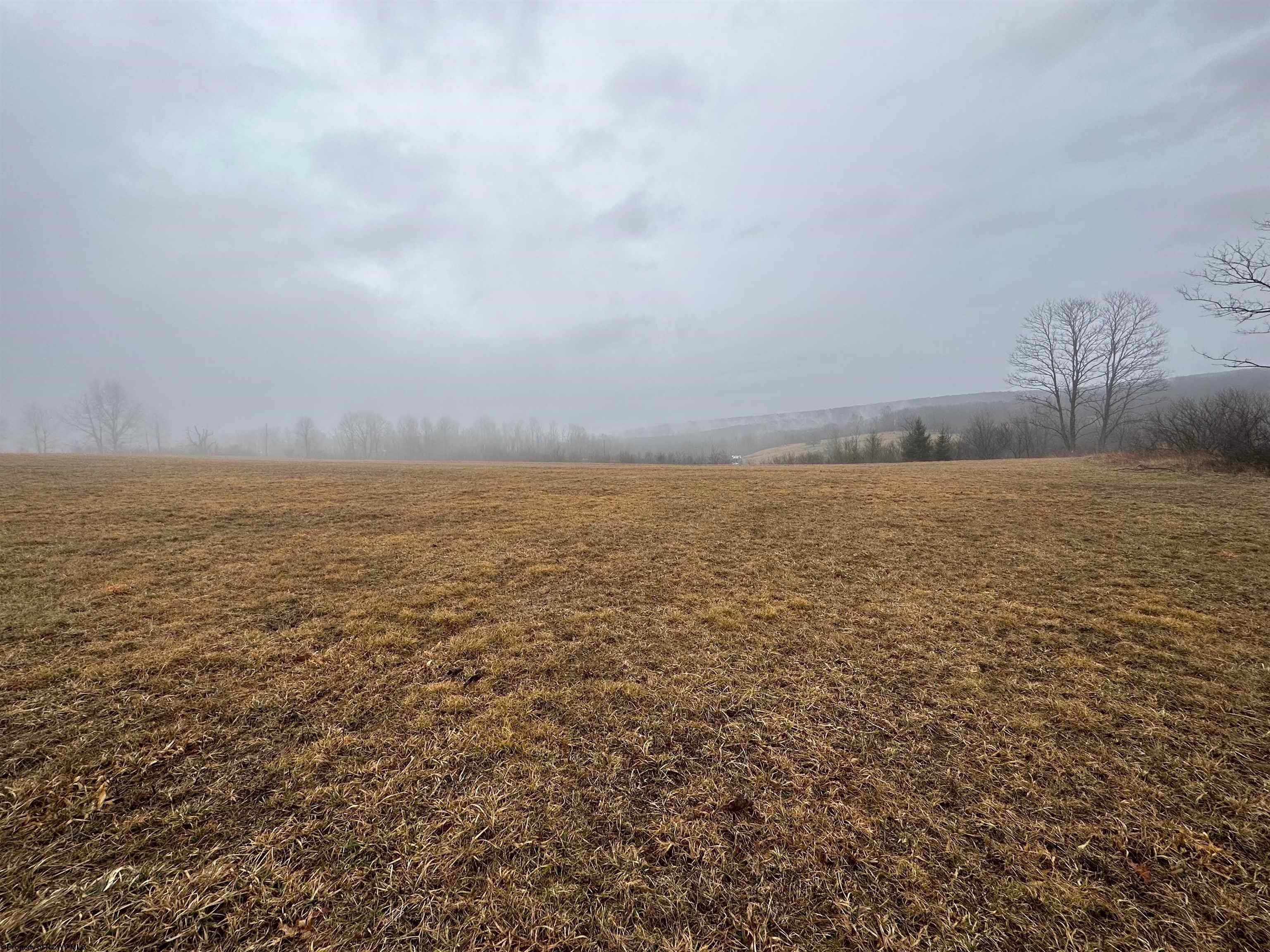 Tbd Windy Ridge Lane Albright, WV 26519 - Photo 11 of 16 Gallery Image 11