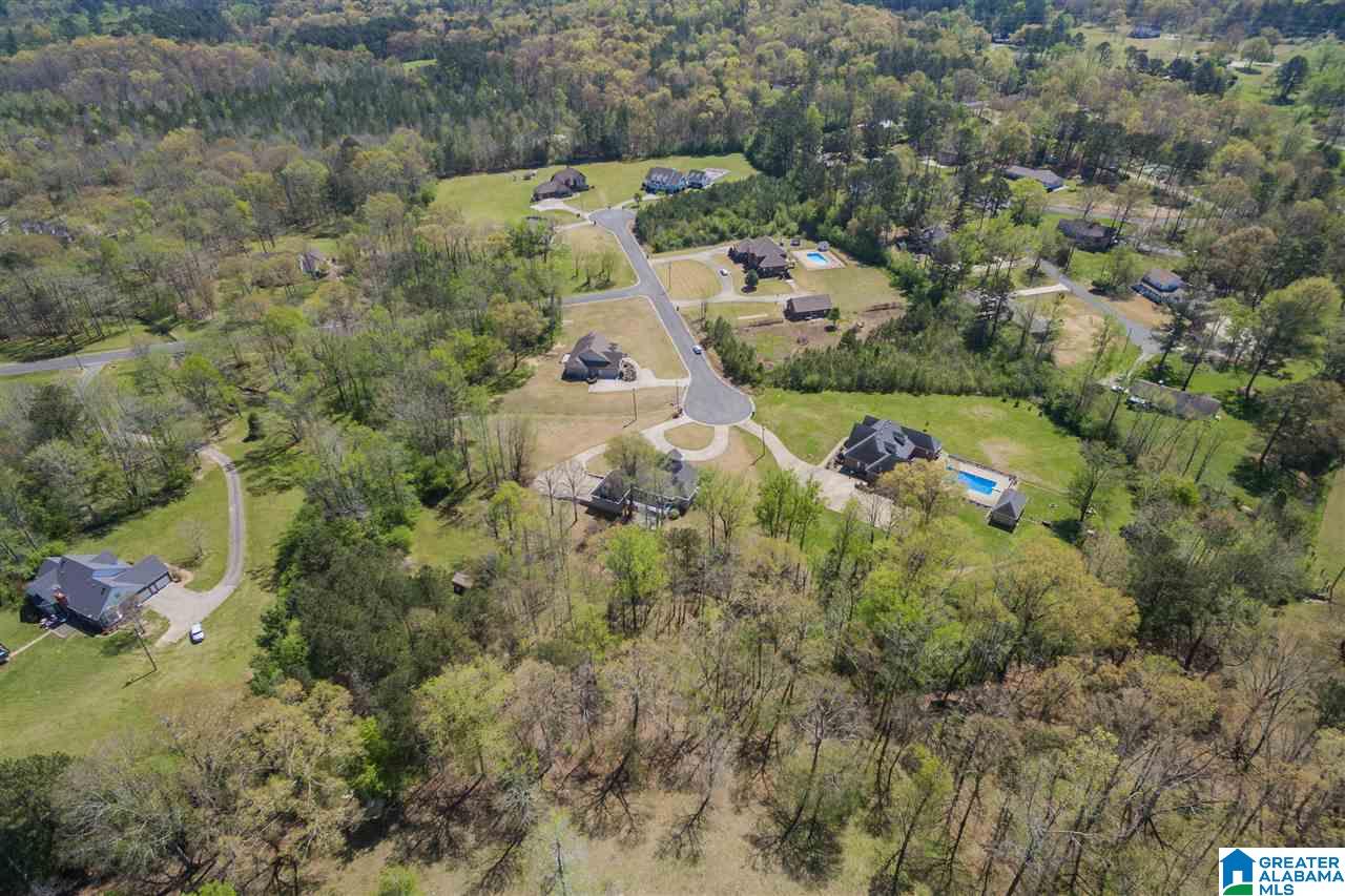 101 Deer Trace Road Oneonta, AL 35121 - Photo 47 of 50