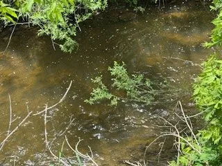 $320,000 | 116 Loomis Road, Columbus, NY 13460