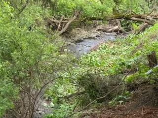 $320,000 | 116 Loomis Road, Columbus, NY 13460