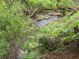 103-105 Loomis Road Columbus, NY 13460 - Photo 42 of 44