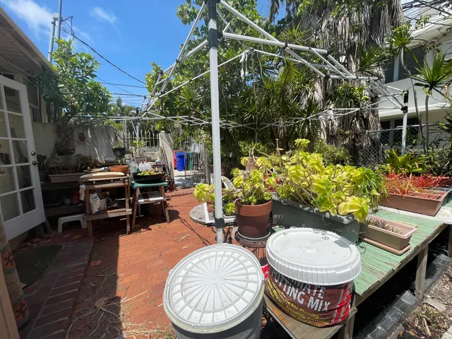 a outdoor space with chairs and a potted plant