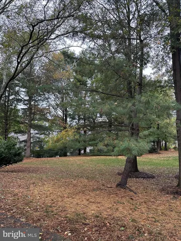 a view of backyard with green space