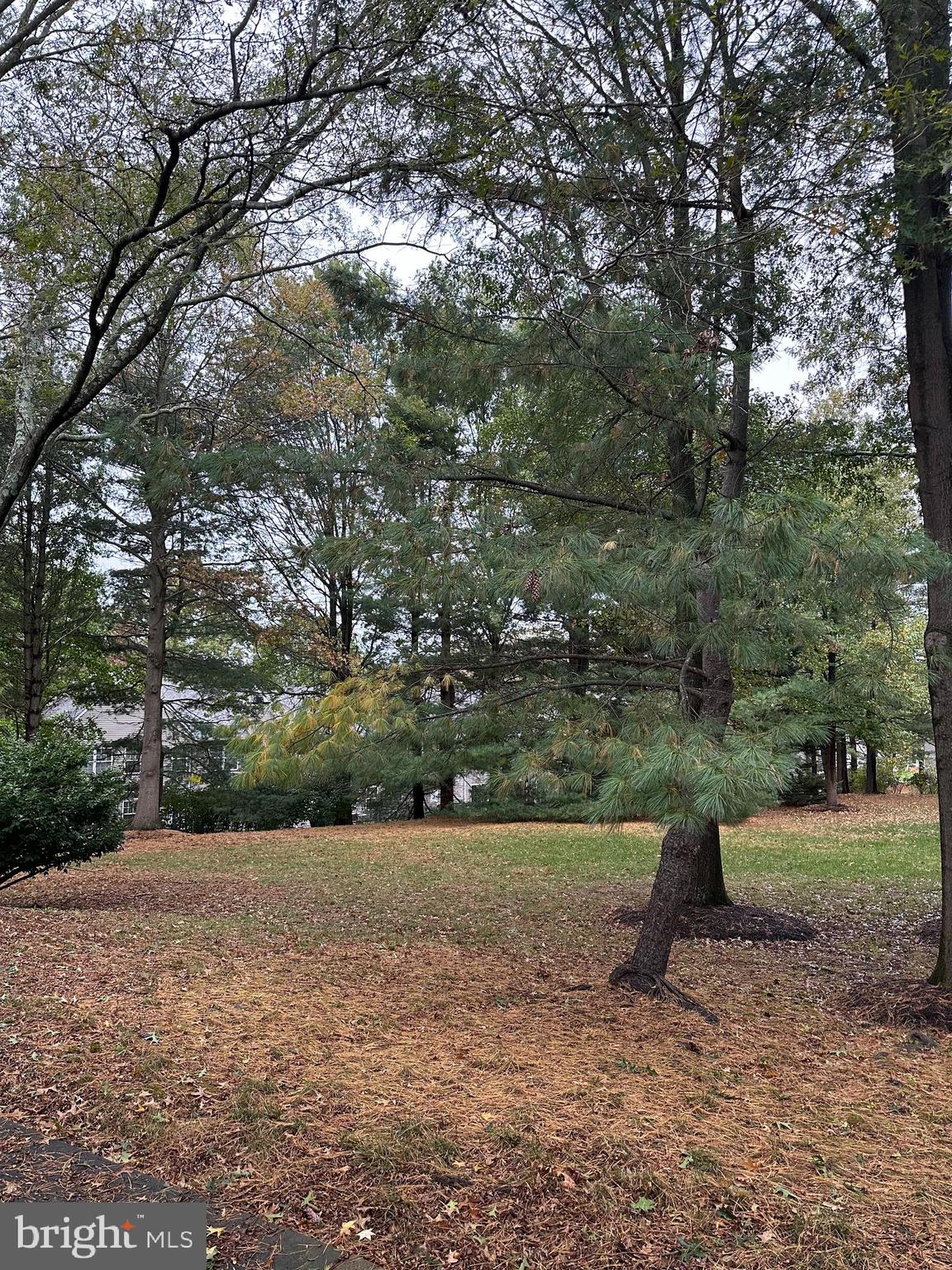 194 Victoria Court Doylestown, PA 18901 - Photo 3 of 20 a view of backyard with green space