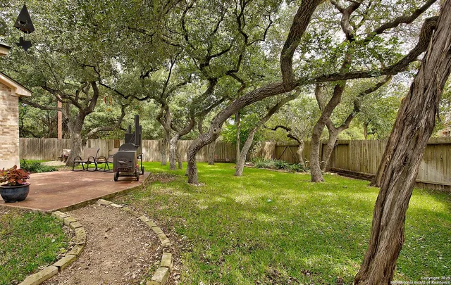 a view of a yard with a tree