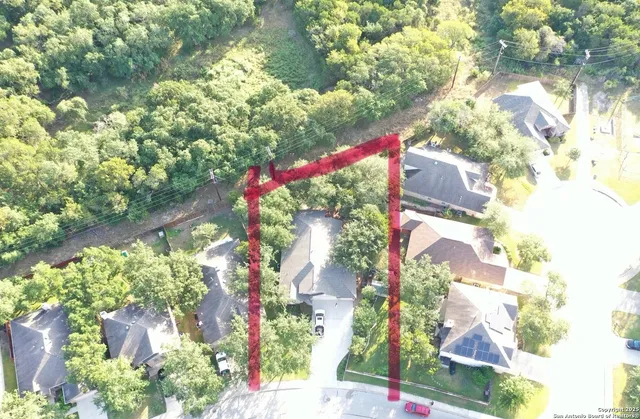 a picture of flowers