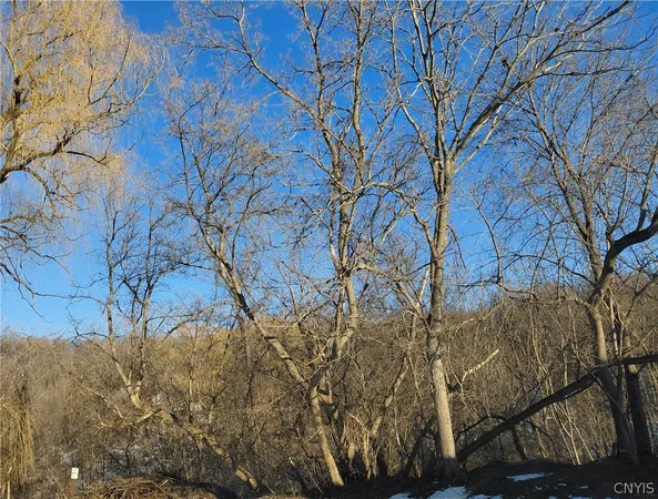 $5,000 | 207 Worden Avenue, Onondaga, NY 13120