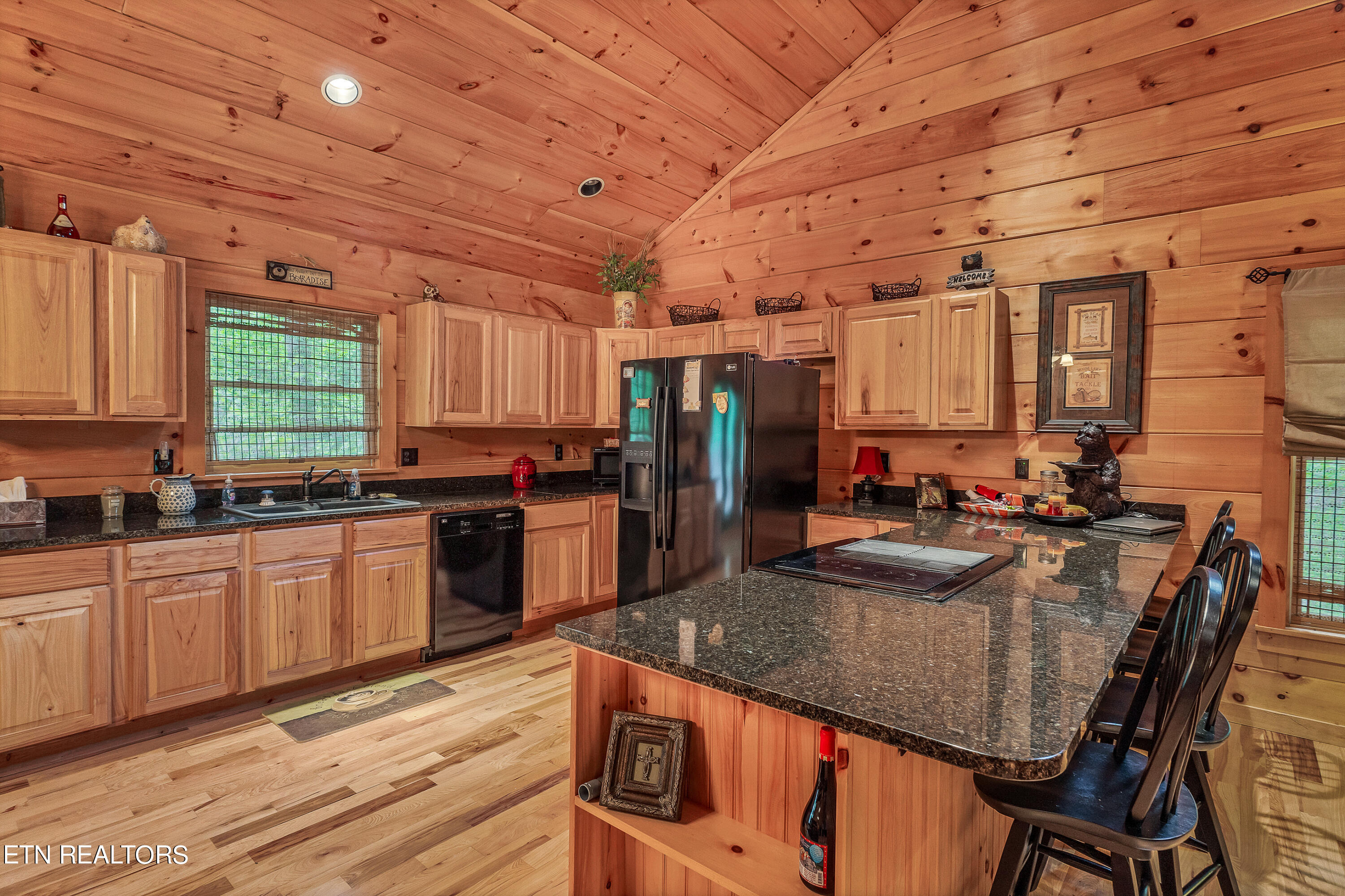 223 Cutter Gap Road Townsend, TN 37882 - Photo 10 of 34 DSC08541
