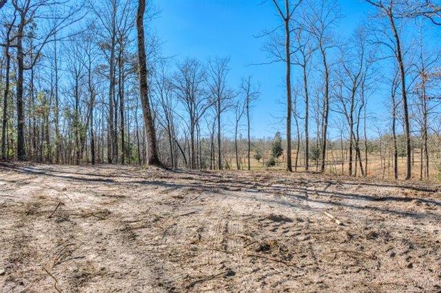 Parcel B Old Dibble Road Aiken, SC 29803 - Photo 11 of 17